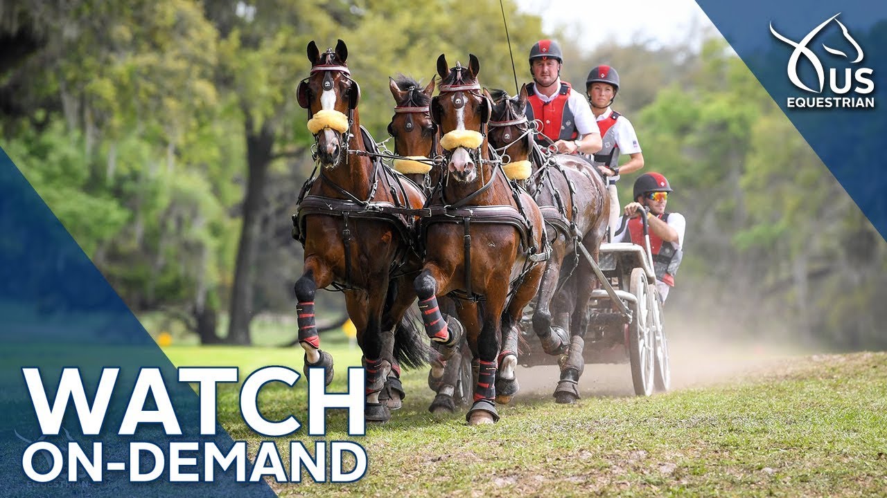 Live Oak International On-Demand