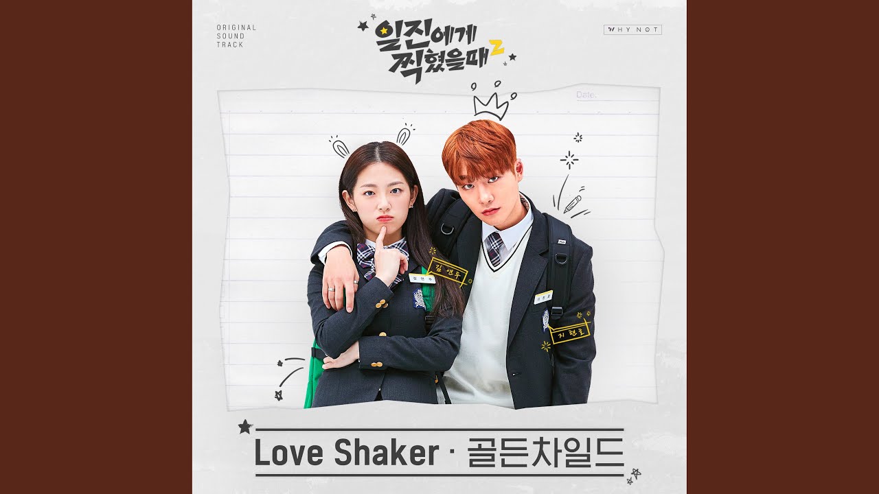 Love Shaker