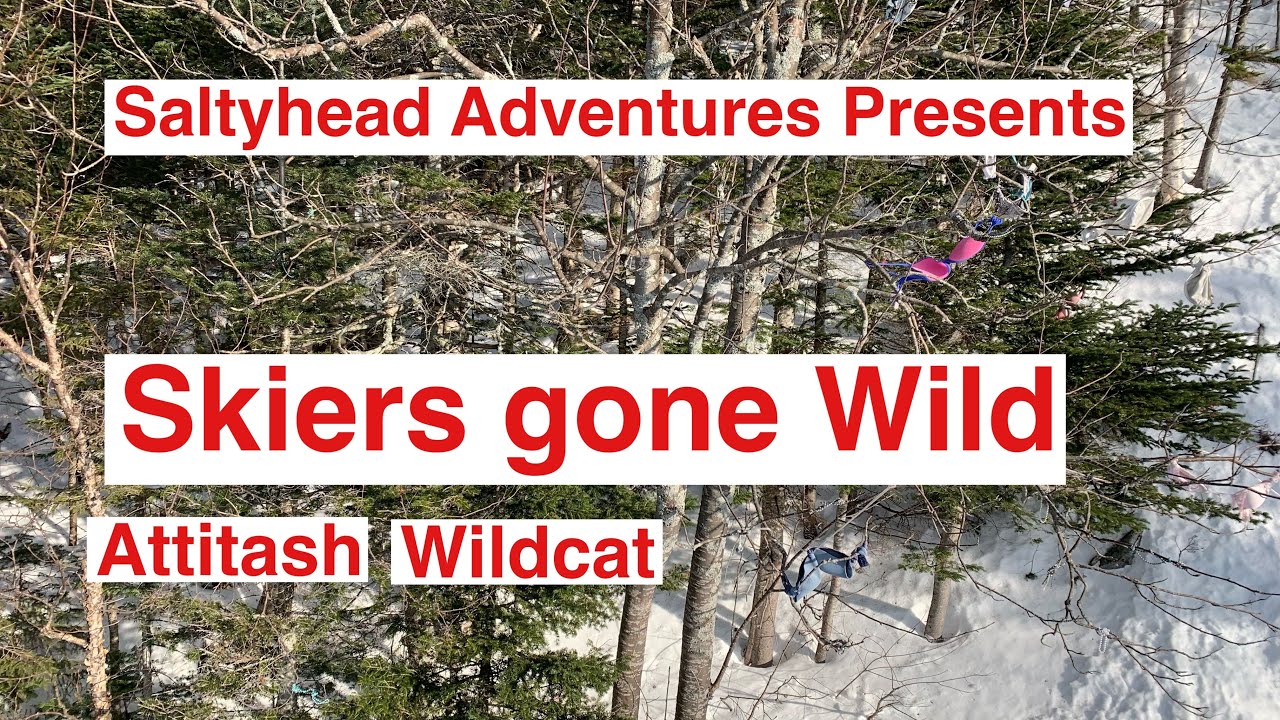 Skiers gone Wild at Wildcat and Attitash with Saltyhead