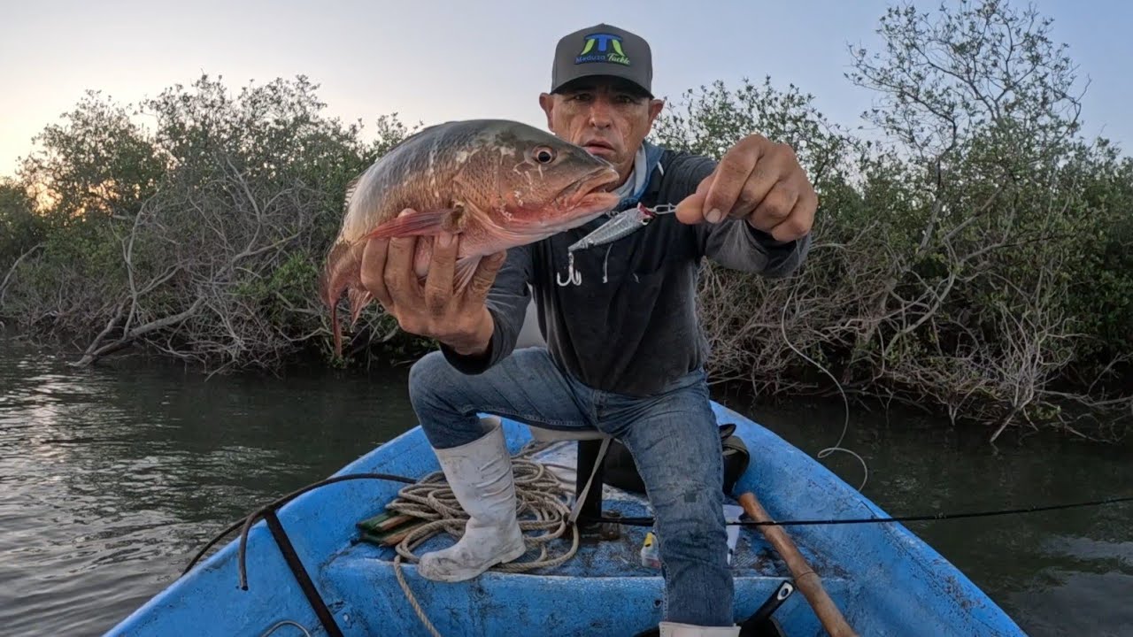 Ataques de Pargo en Superficie 