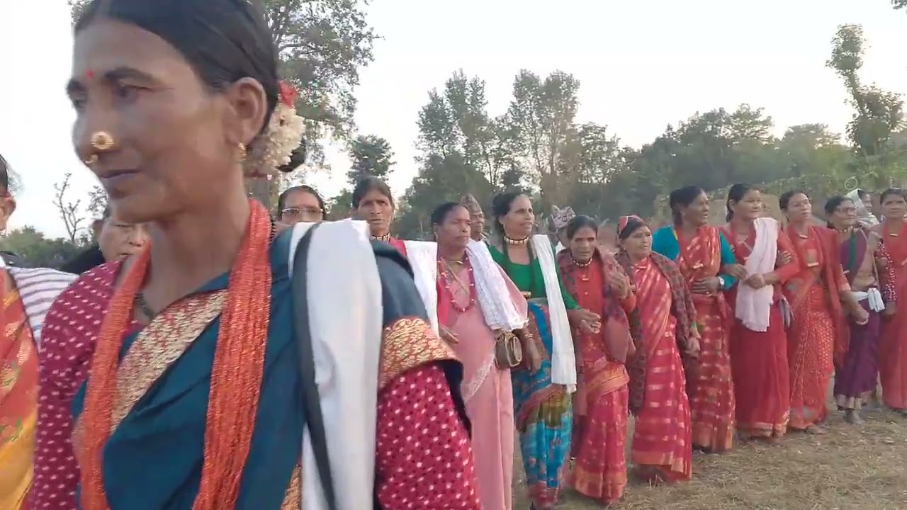 भल्काहाट बजारको महिला दिदीबहिनीहरूको यो निकै रमाइलो देउडा 