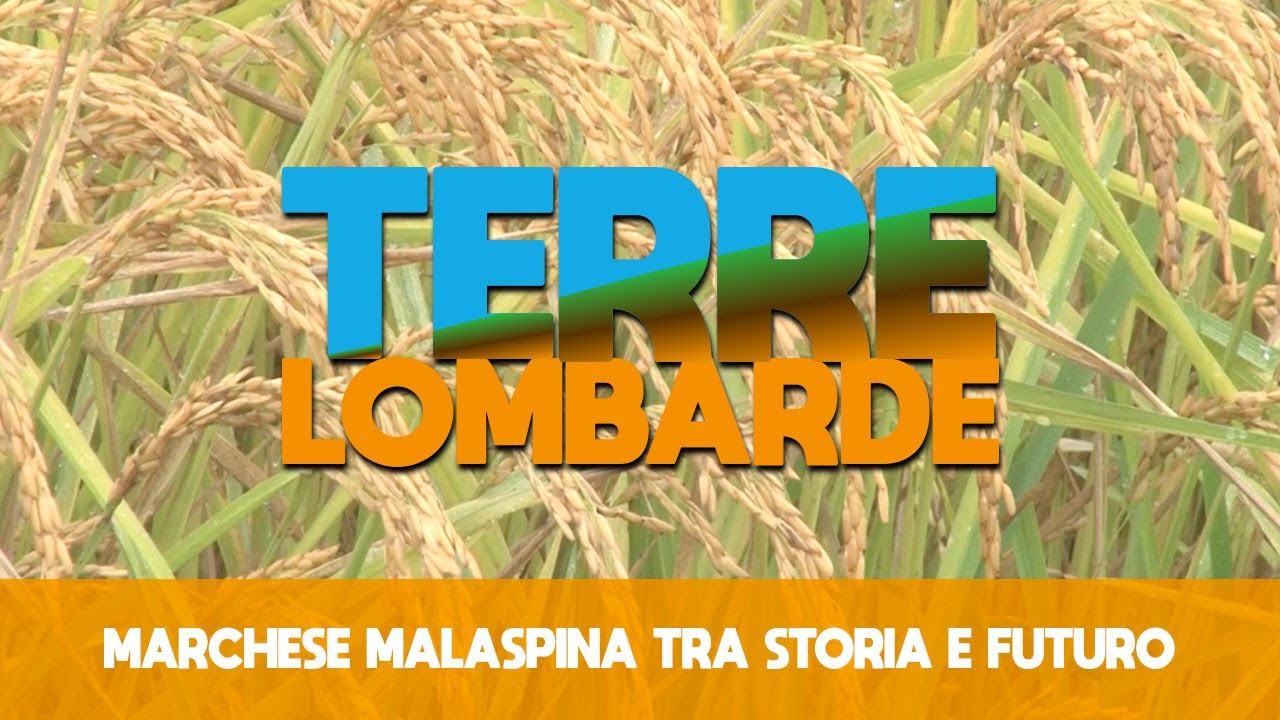 Marchese Malaspina tra storia e futuro - Terre Lombarde - S2 PT41