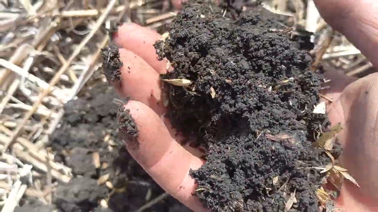 15.05.2022 вносю гліфосат на посів соняху