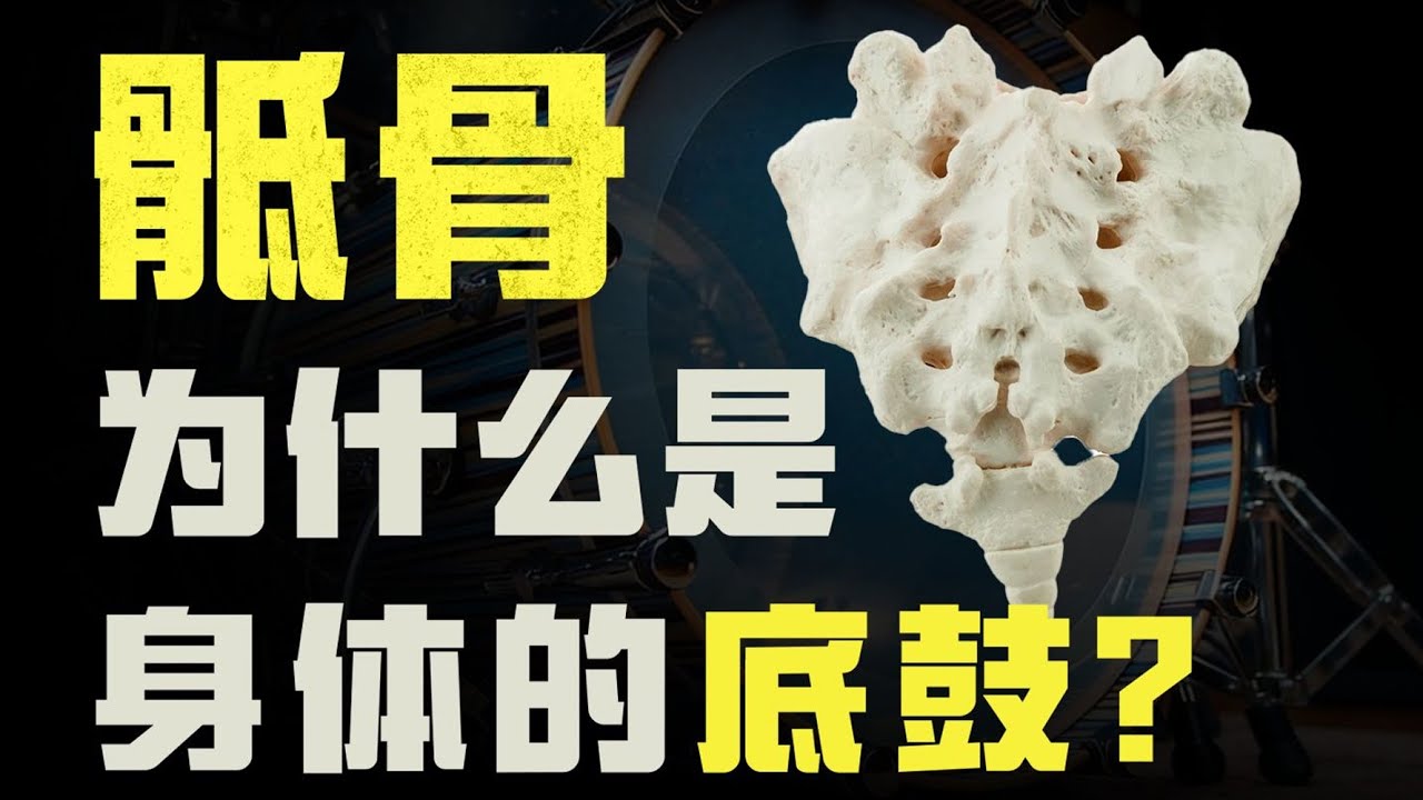 为什么说骶骨是身体的底鼓？它几乎不动，却撑起了你的一生