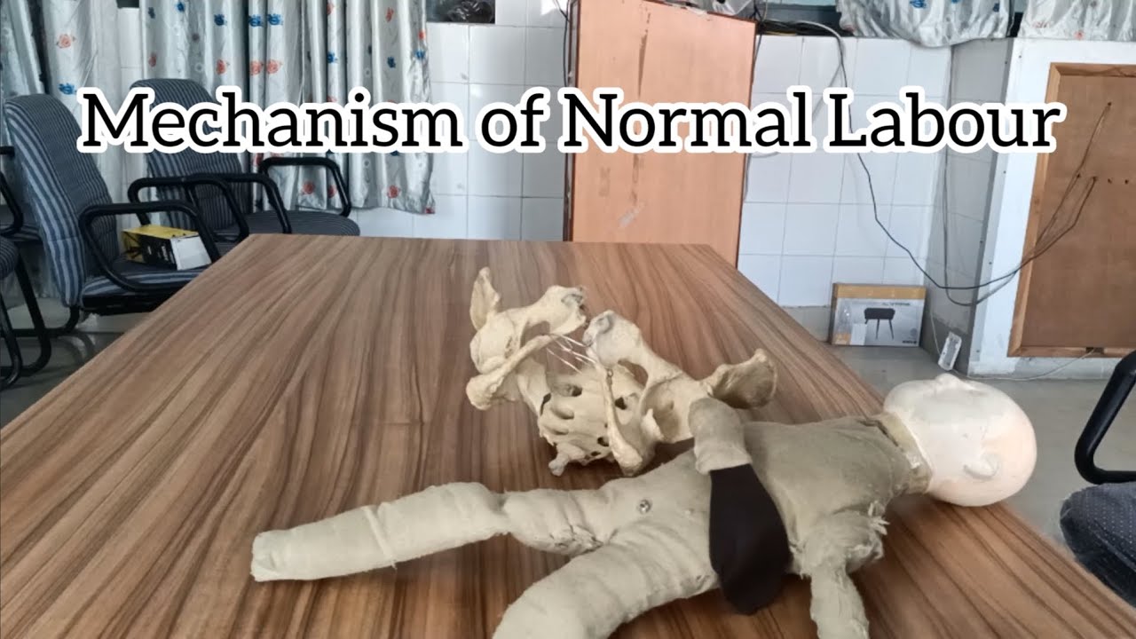 Mechanism Of Normal Labour - By Love Obstetrics and Gynecology