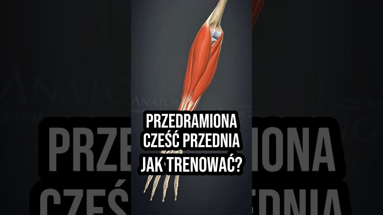 Jak trenować przedramiona Cz. 1 #gymtok #anatomy #gym #przedramiona #chwyt