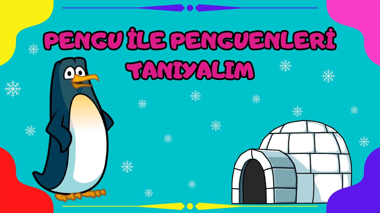 Penguenleri Tanıyalım - Penguenler Hakkında Bilgi - Penguen Okul Öncesi #eğiticivideo #penguin
