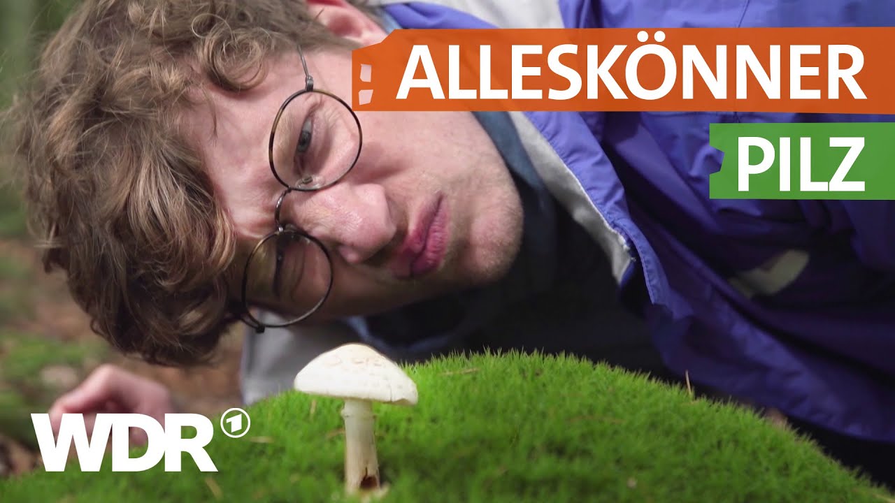 Warum Pilze viel mehr als nur lecker sind | neuneinhalb | WDR
