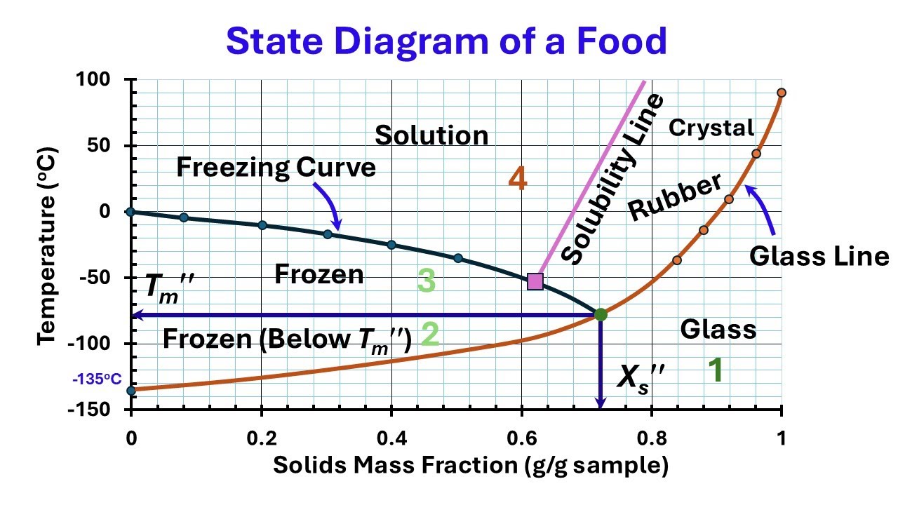 What is State Diagram of Foods: Basic Understanding