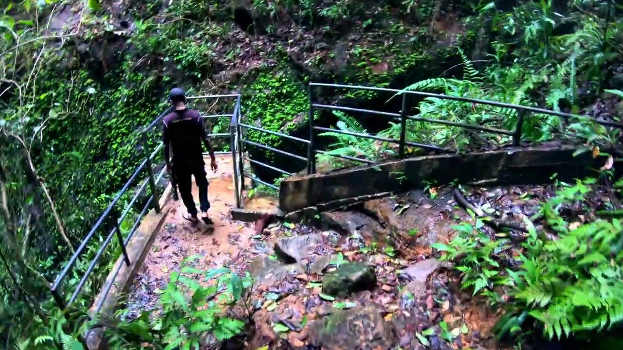 Sinharaja Forest Reserve. Part 02