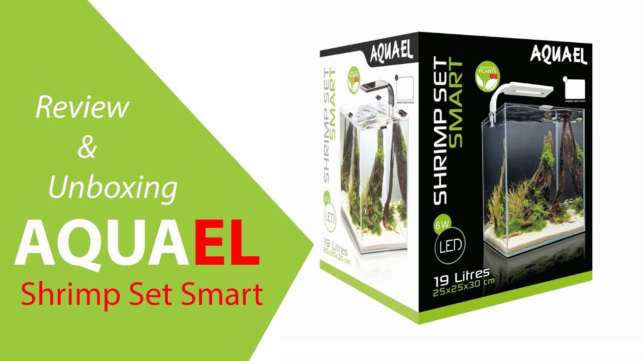 Распаковка и обзор набора AquaEl Shrimp Set Smart + Nano Scape