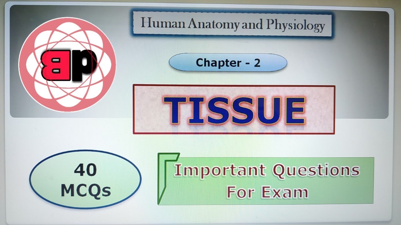 MCQ / Chapter 2- Elementary Tissues / 40 Important Questions for Exam / Tissue level of organisation
