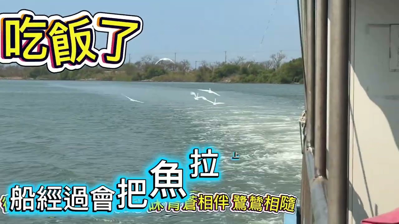 #凱爸遊 台江國家公園