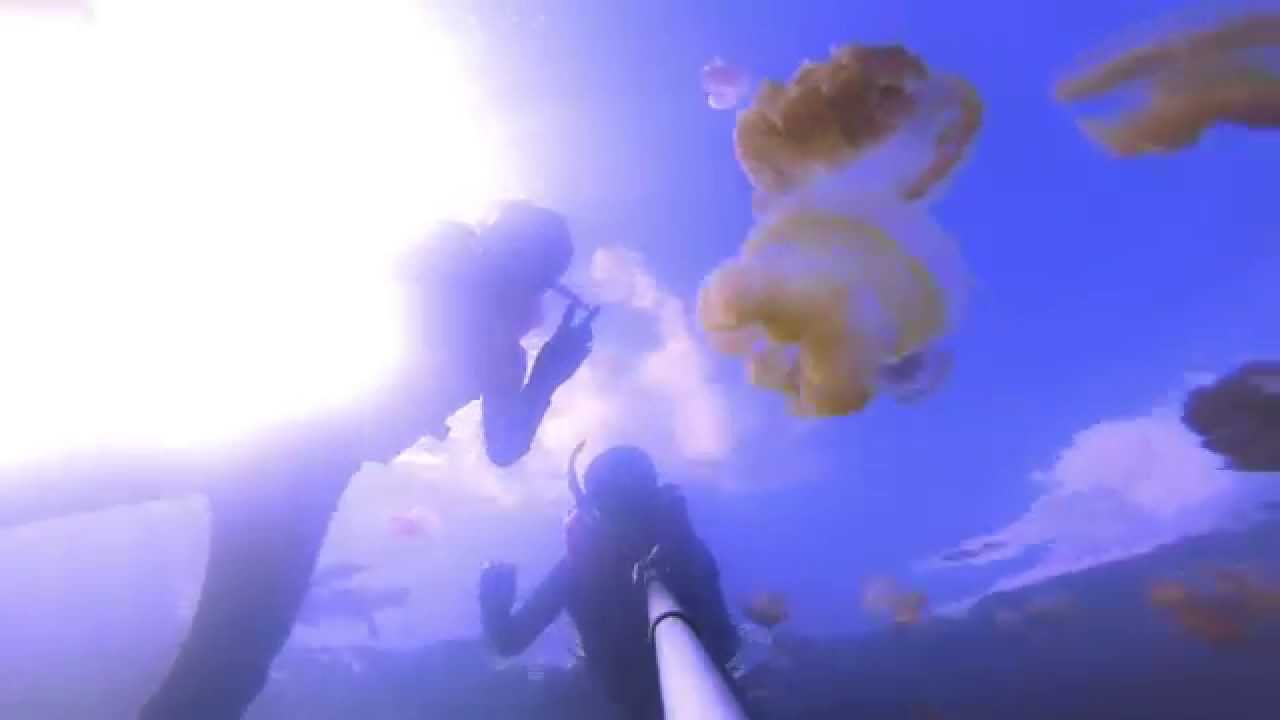 GoPro:Palau 2014 summer