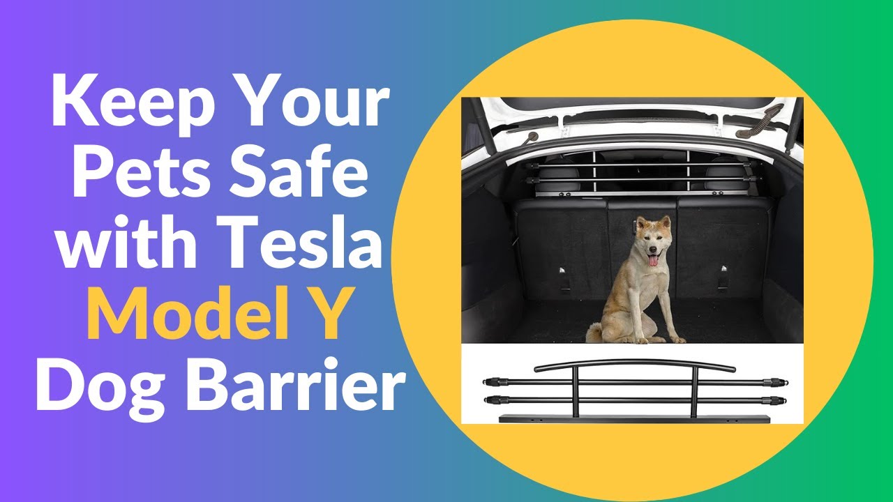 Keep Your Pets Safe with Tesla Model Y Dog Barrier