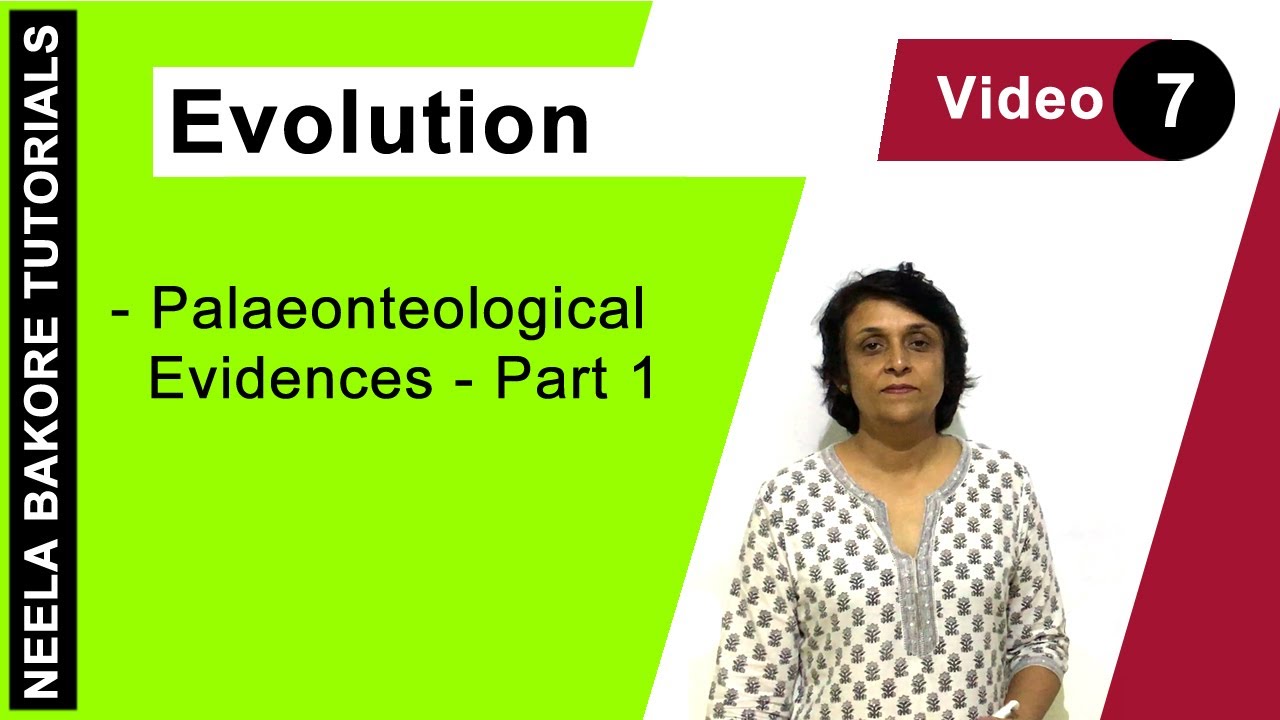 Evolution | NEET | Palaeonteological Evidences - Part 1 | Neela Bakore Tutorials