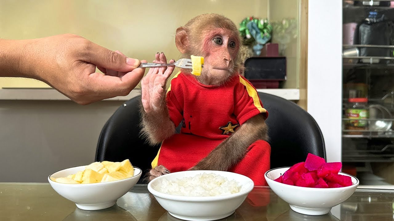 After a hard day, Kiki was bathed by her father and enjoyed delicious jackfruit yogurt!
