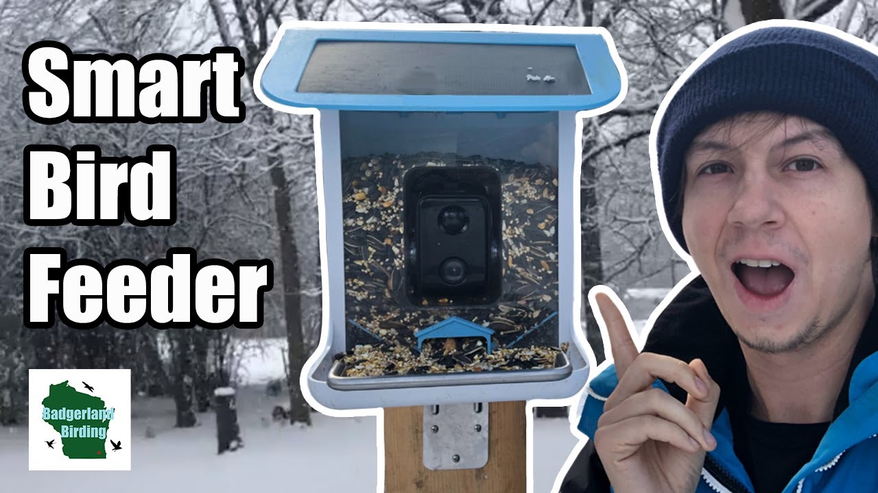 Is this the Best Smart Bird Feeder? (Lyfreen Smart Bird Feeder Review)