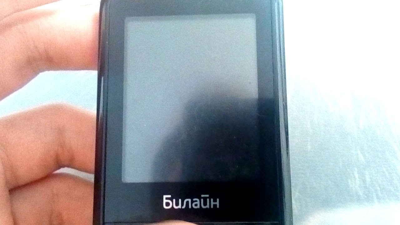 Samsung E1263 Trios ringtones on Beeline C100
