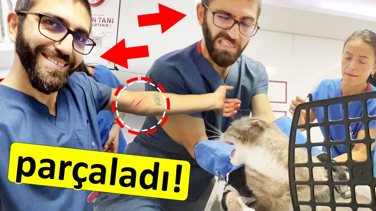 VAHŞİ VLOG GÜNÜÜ 😂