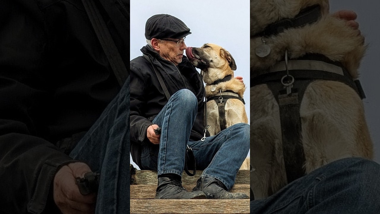 Walks with Jim - Tide Mills