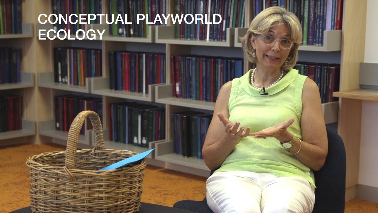 Conceptual Playworld Model