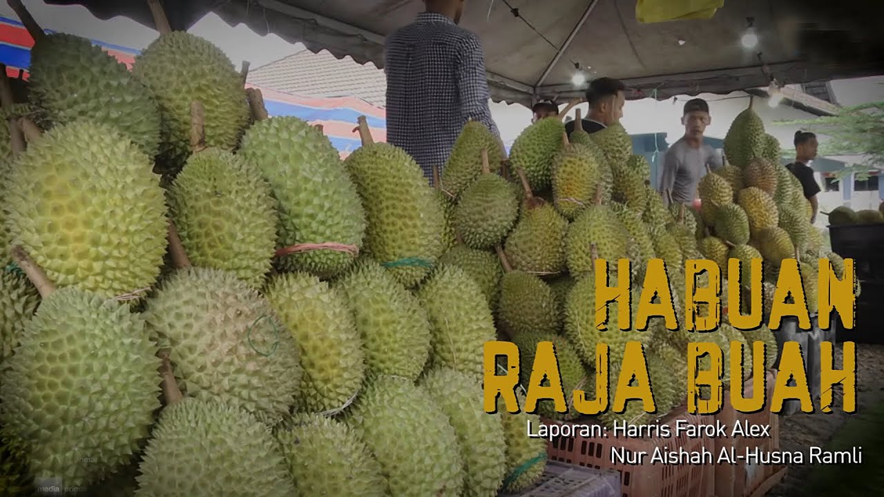 Majalah 3 (2020) | Mon, Jul 6