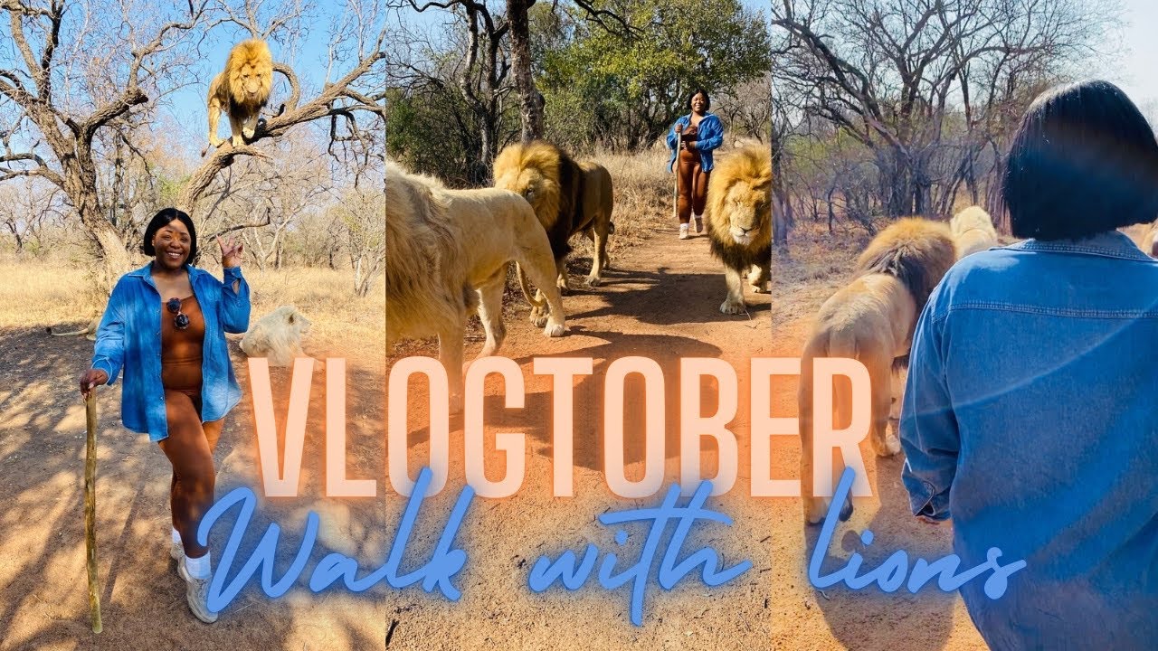 VLOGTOBER | Walk With Lions | Things To Do In Gauteng |Ukuthula Lodge & Game Reserve | SimplyPontsho