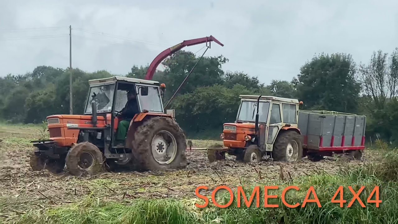 🌽Ensilage à l’ancienne 2021 #1