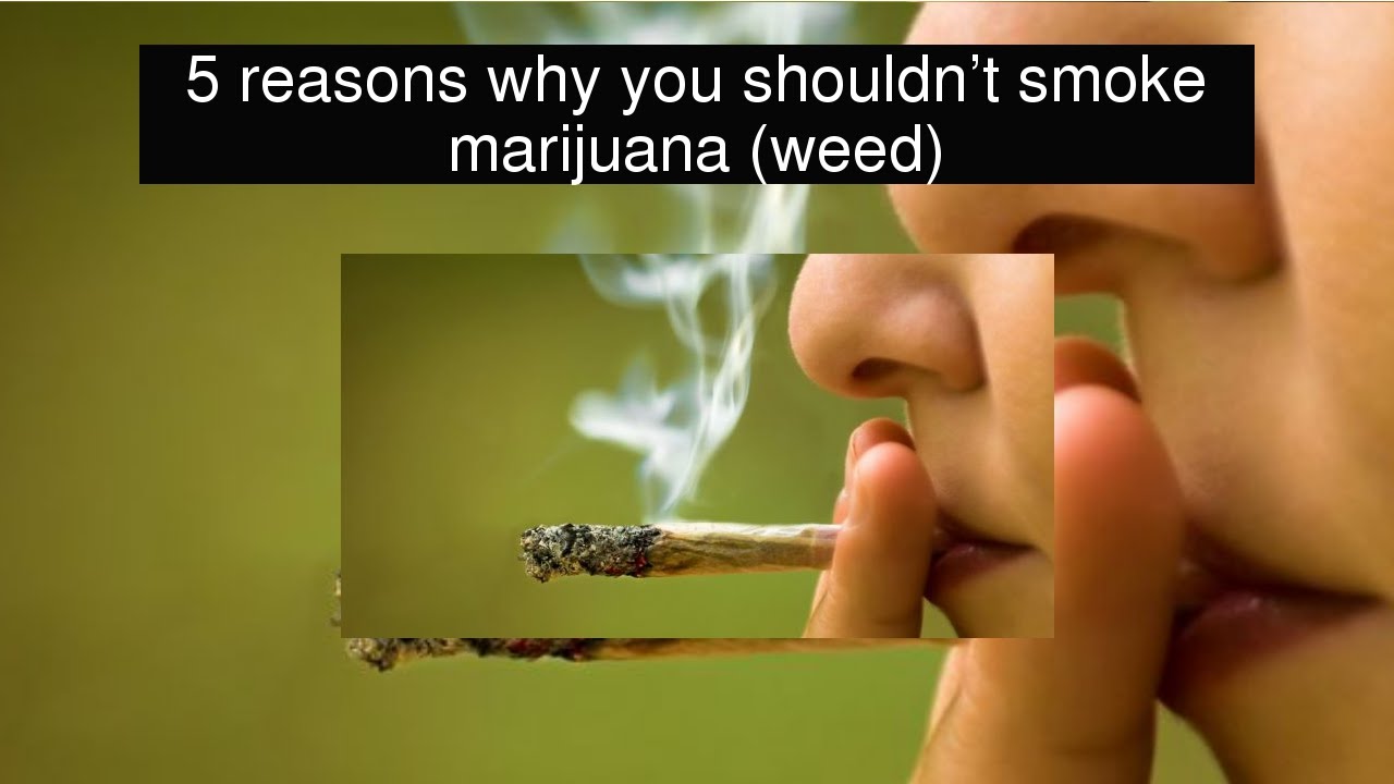 5 reasons why you shouldn't smoke marijuana (weed)