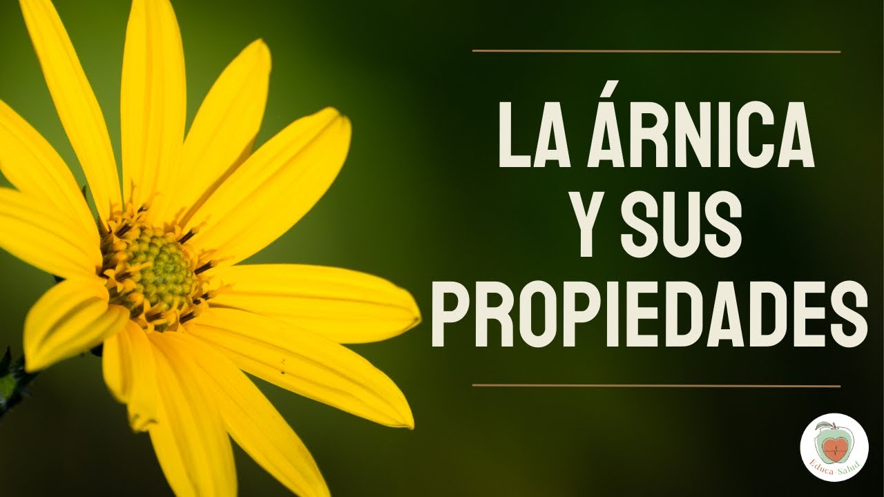 LA ARNICA Para qué Sirve. Sus Propiedades