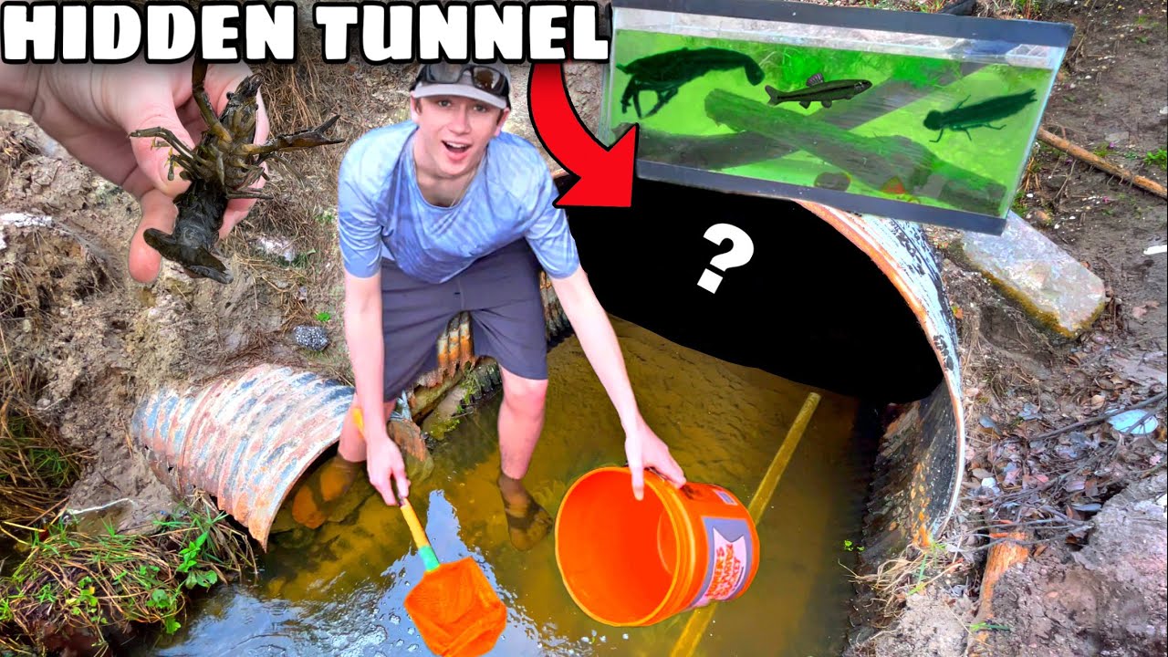Netting RARE Fish in HIDDEN TUNNEL!! *HELP IDENTIFY*
