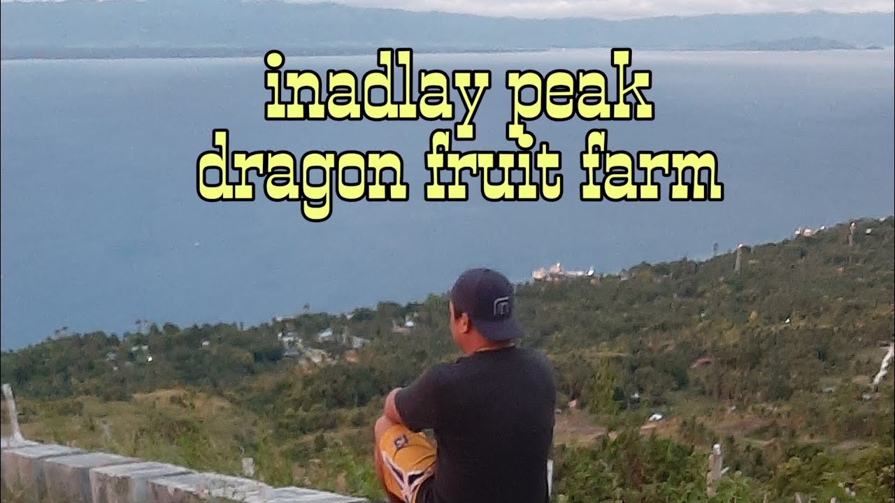 Dragon fruit farm (inadlay peak)