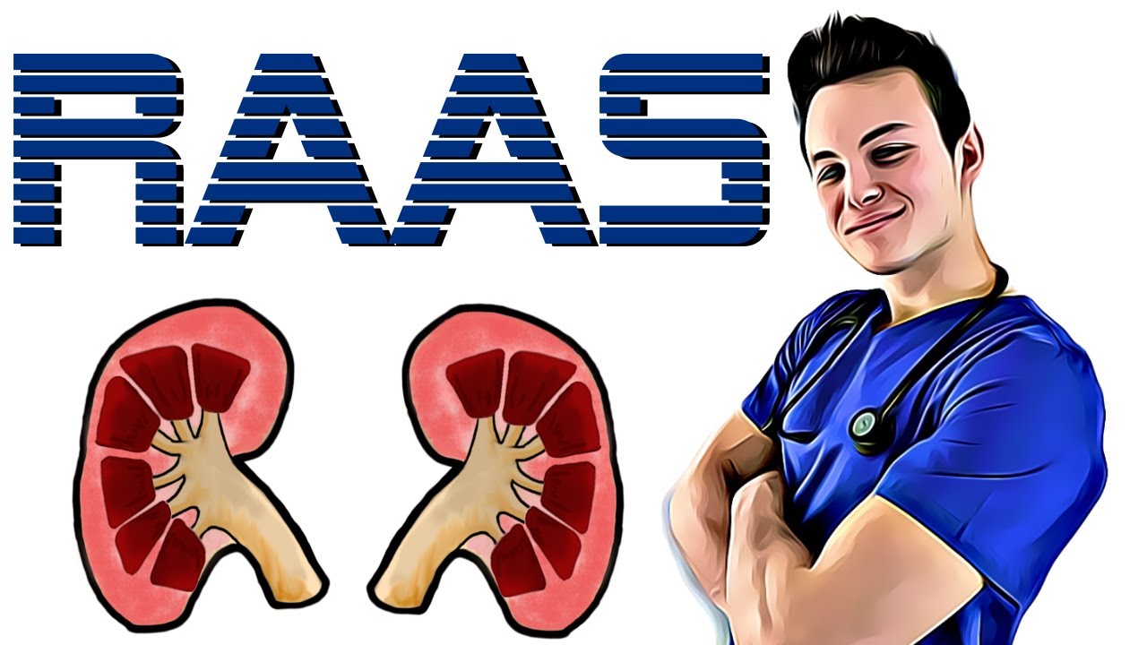 RAAS ERKLÄRT! Renin Angiotensin Aldosteron System