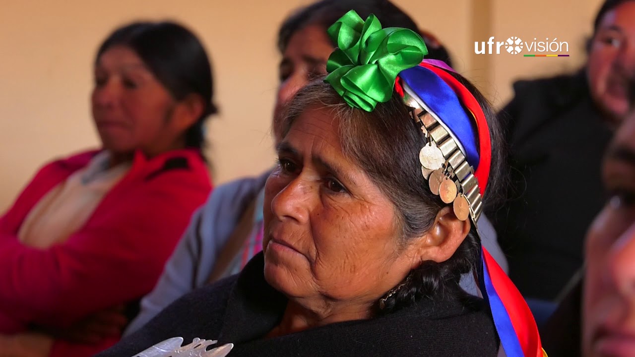 Investigadores UFRO crean filtro para eliminar hierro y manganeso del agua de pozo | UFROVISIÓN