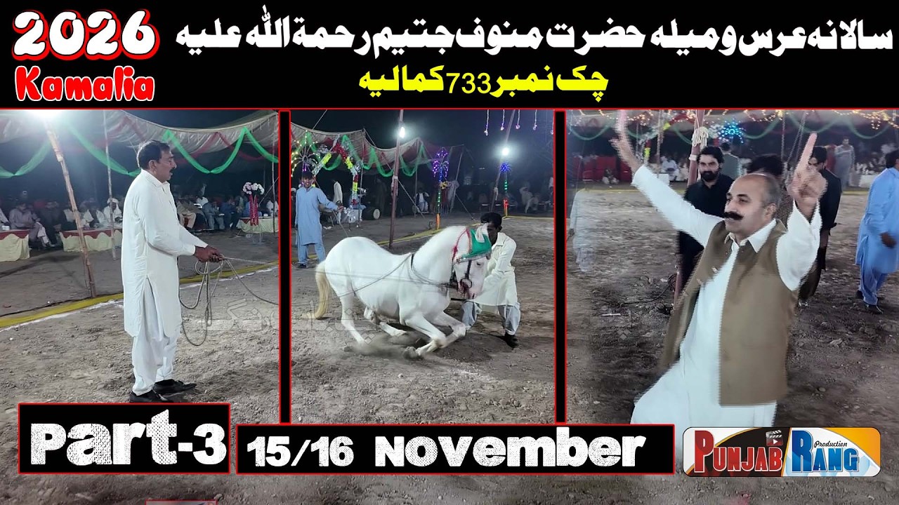 Horse Dance Mela Manoof Jateem l 15 November 2025 l Chako No 733 Manoof Jateem  Kamaliya  Part -3