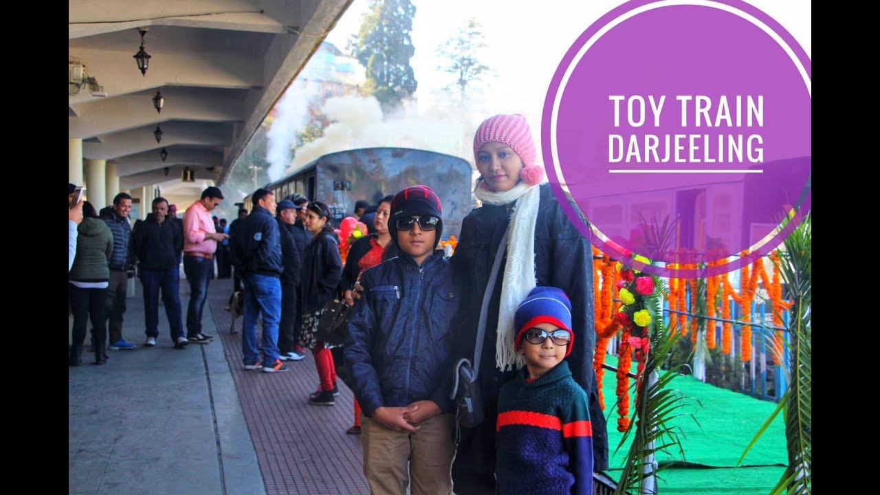 DARJEELING TOY TRAIN EXPERIENCE ( দার্জিলিং টয় ট্রেন অভিজ্ঞতা )