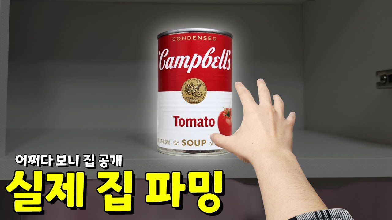 실제 집을 파밍해서 생존하기! ㅋㅋㅣ60seconds