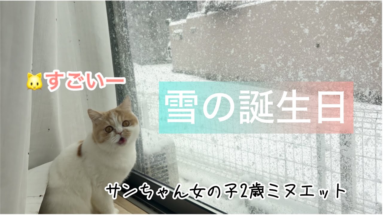 【#35】雪の誕生日2026.0207〜02.08