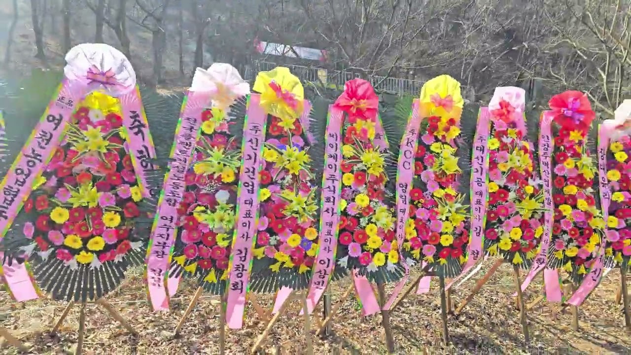 전유진 출연! 현재 상황! [250322 여수영취산진달래축제]