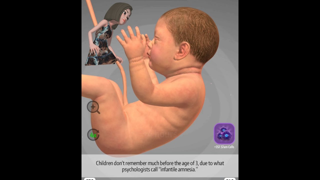9 MONTHS GAMEPLAY iOS ANDROID MAX LEVEL EVOLUTION ON FAST FORWARD