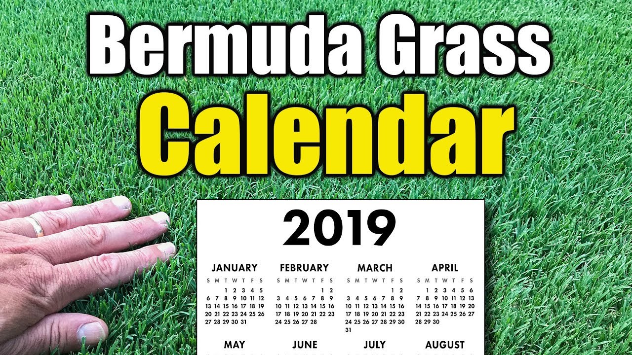 Bermuda Grass Calendar 2019