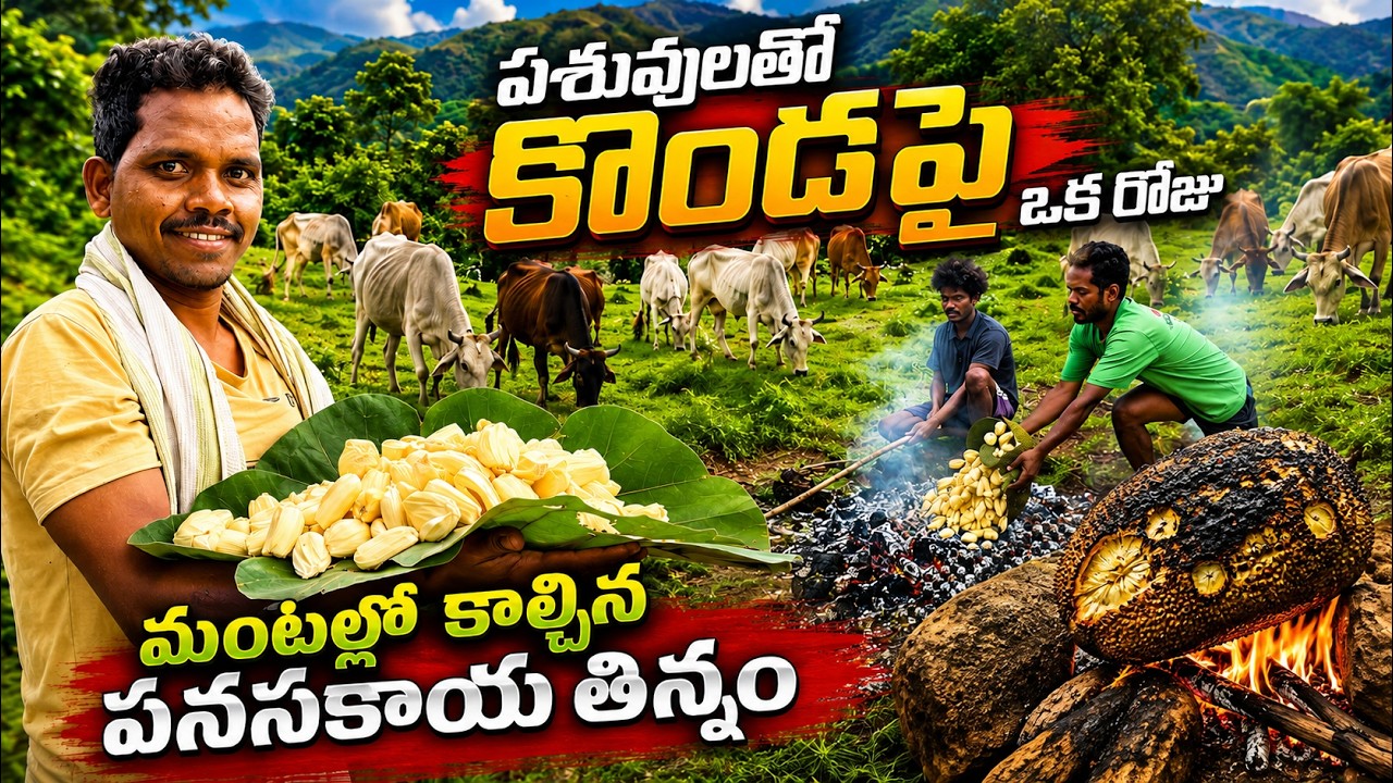 కొండపై పశువులు మేపుతూ | మంటల్లో కాల్చిన పనసకాయతో మధ్యాహ్న భోజనం 🔥 | Araku Tribal Vlog
