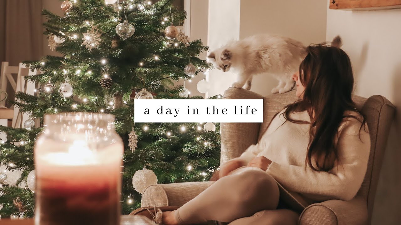 A Day In The Life With A Ragdoll Kitten 🐱 Christmas Speed Clean, Relaxing & Cosy