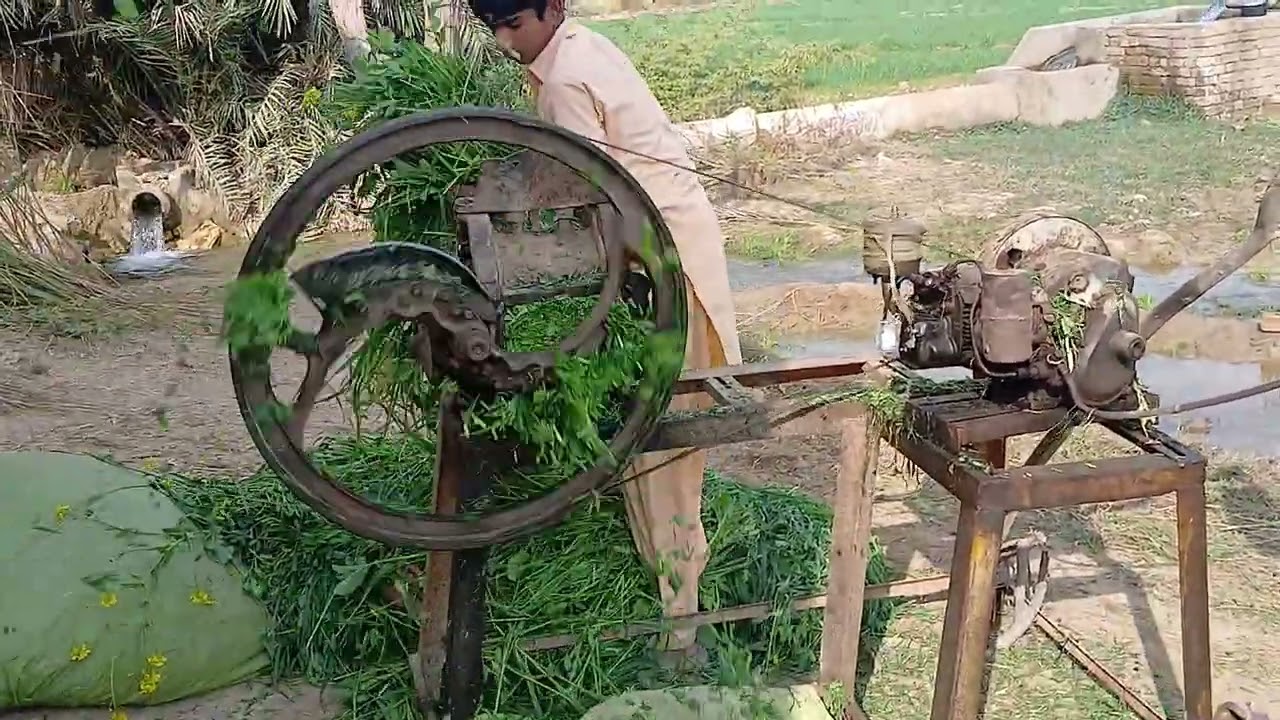 Younis Khan kay farm pr toka kr rahy hy 