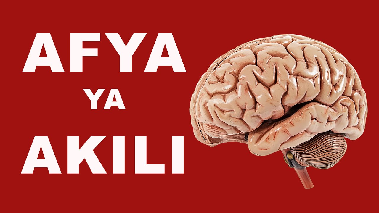 “UNAPOTEZA AKILI YAKO HATA HUJUI?! HATARI YA AFYA YA AKILI INAYOKULEMEA”