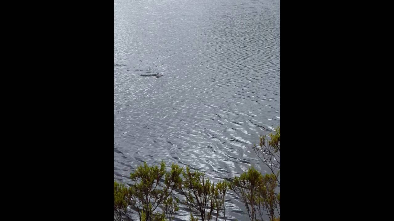 Pesca en salayambo