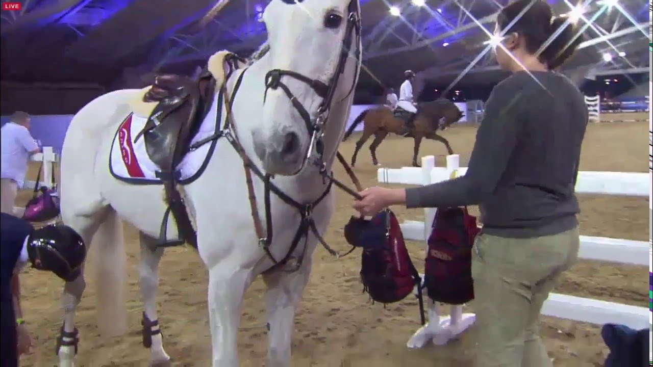 Bertram Allen (Molly Malone V) - Grand Prix of the CHI 5* Al Shaqab, 1m60, CHI5* of Al Shaqab