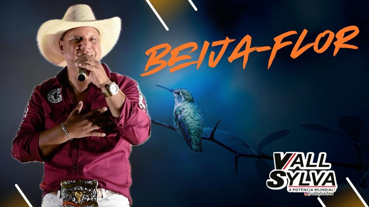 BEIJA-FLOR - DVD VALL SYLVA