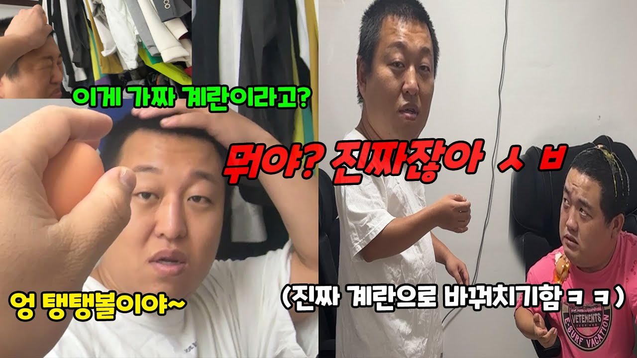 가짜 계란 진짜 계란으로 바꿔치기하기ㅋㅋㅋ